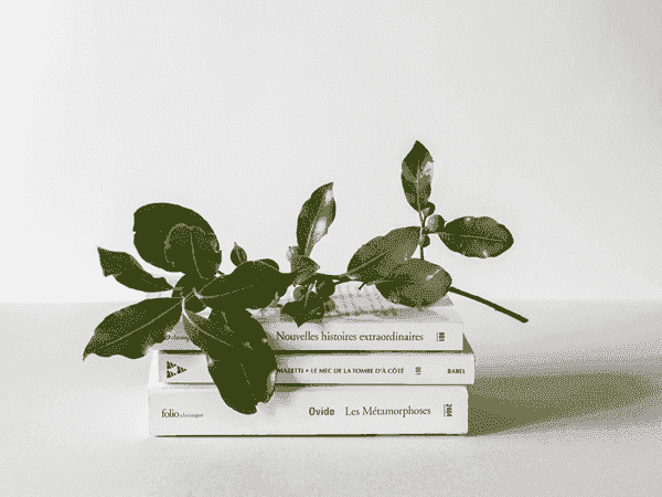 网页在线发短信平台