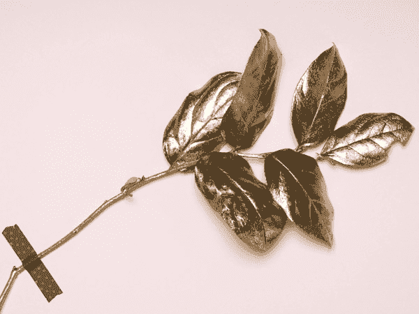 网络手机号在线发送